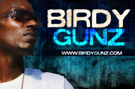 birdygunz